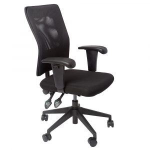 AM100 Ergonomic Office Chair