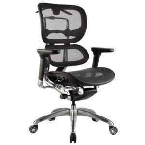 Ergo Mesh Office Chair Front Right View